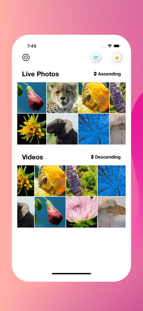 Live Photo Converter . - User interface of the Live Photo Converter app displaying separate grids for live photos and videos