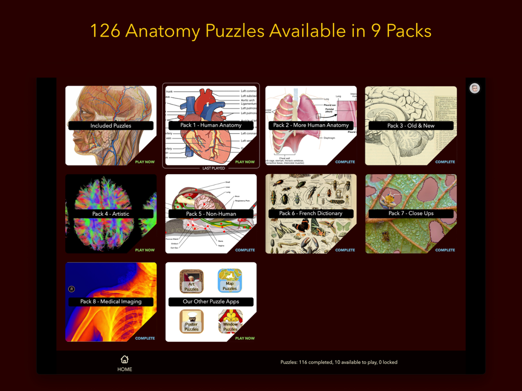 Anatomy Puzzles - Menú principal de la aplicación Puzzles de Anatomía que muestra nueve paquetes de rompecabezas diferentes, incluyendo Anatomía Humana, Artístico e Imágenes Médicas.