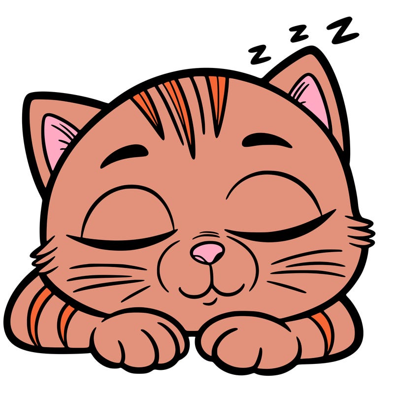 sleepy cat