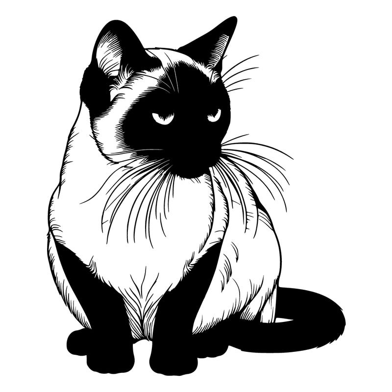 realistic siamese cat