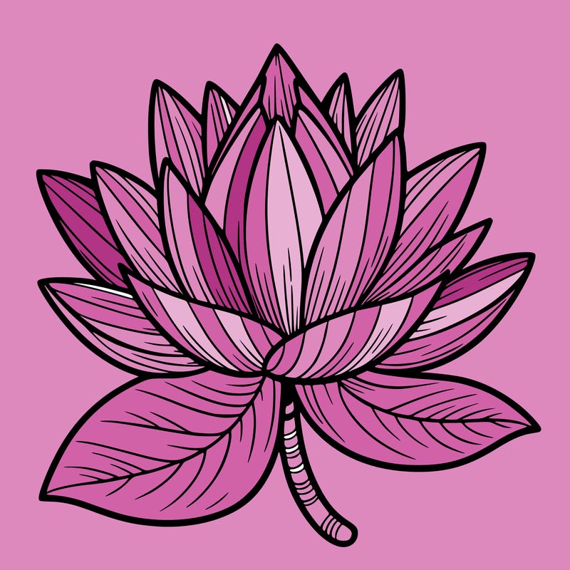 lotus flower
