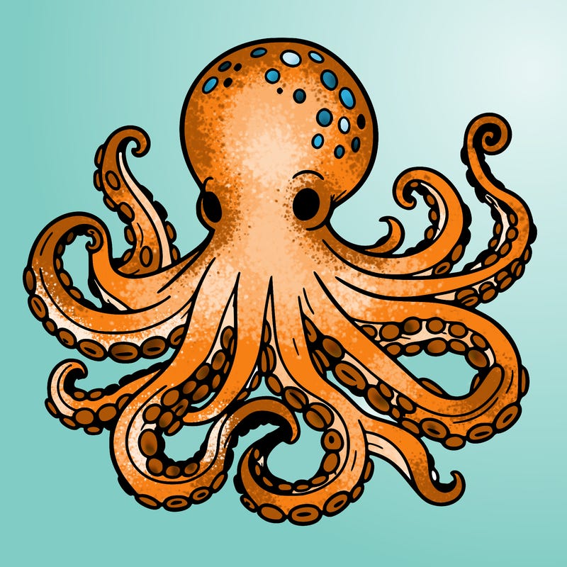 octopus