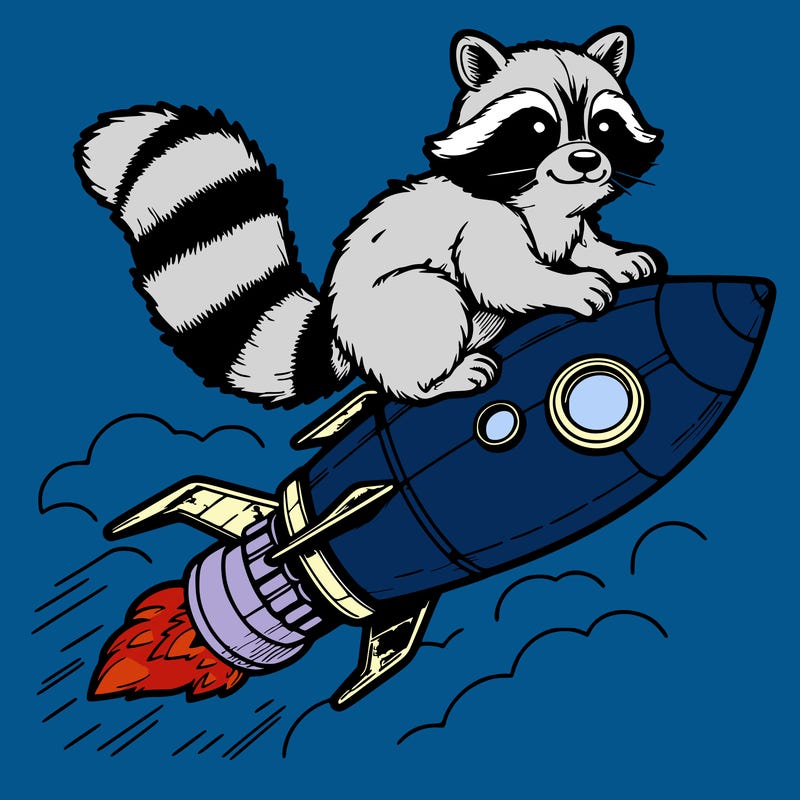 realistic raccoon flying on top rocket ship