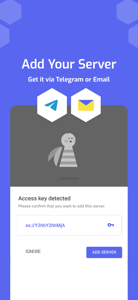 BeePass VPN screen for adding a server with an access key detected