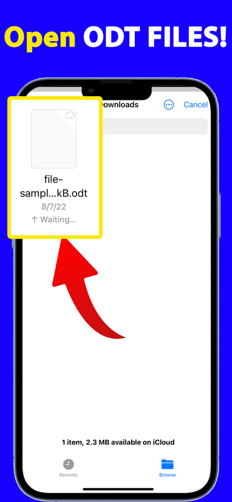 Schermata dell'iPhone che mostra come aprire file ODT per la conversione