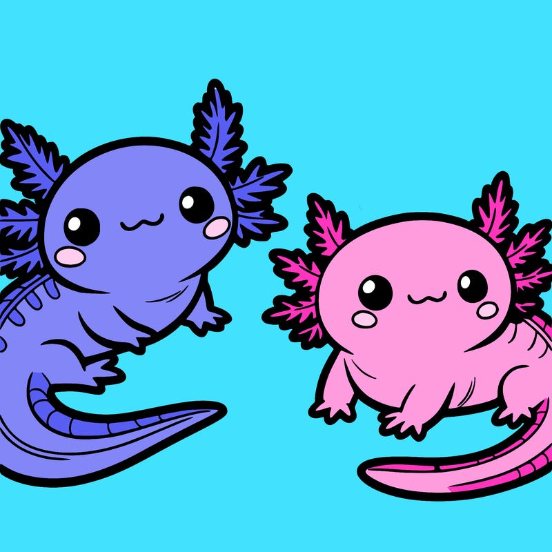 cute axolotls