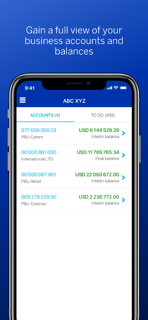 A mobile interface of the Business Online app showing a summary of business accounts and their USD balances