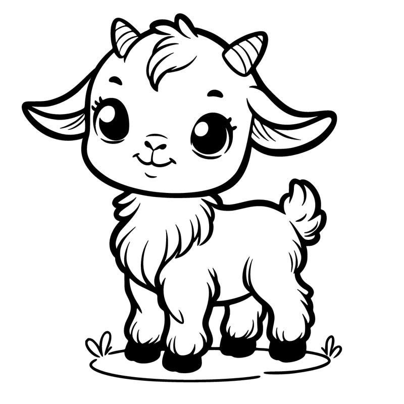 baby goat