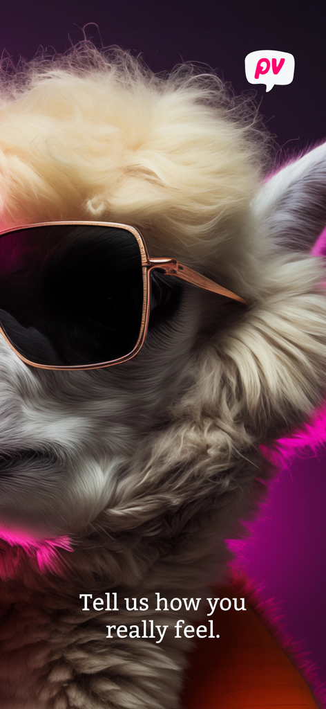 PaidViewpoint - A stylish alpaca wearing sunglasses on the PaidViewpoint app with the text Tell us how you really feel.