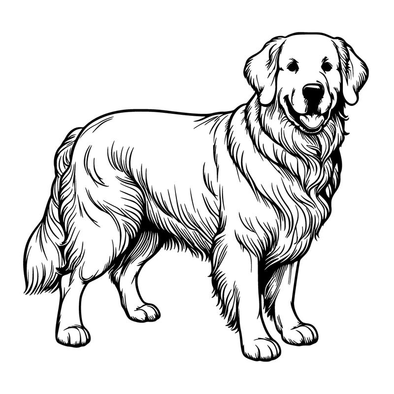 realistic golden retriever