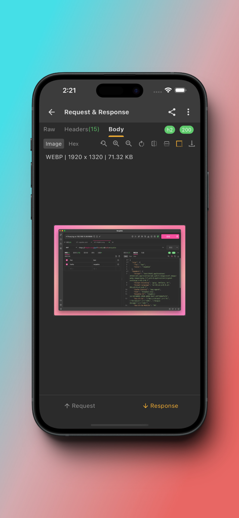 Reqable - App mobile Reqable che mostra un'anteprima di immagine webp all'interno del corpo di una risposta API.