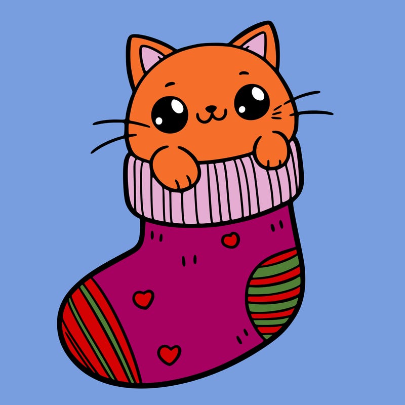 cute cat in a sock