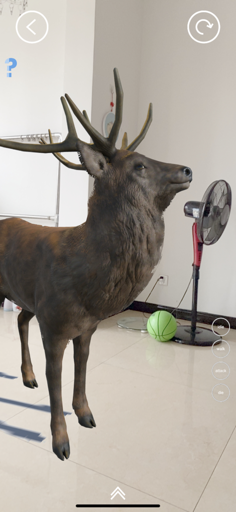 リアルAR動物園アプリを使用して、リビングルームに表示されたリアルな3Dシカモデル。