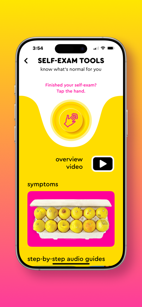 Know Your Lemons - Der Bildschirm für Selbstuntersuchungswerkzeuge der Know Your Lemons App zeigt Brustkrebs-Symptome unter Verwendung von Zitronen in einem Eierkarton.
