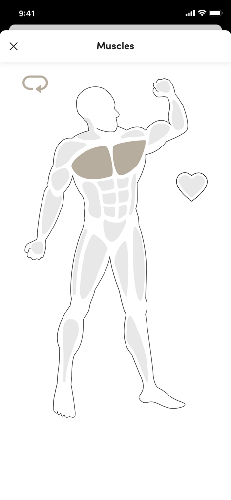 Studio Pura Vida - Anatomical body chart highlighting pectoral muscles in the Studio Pura Vida app