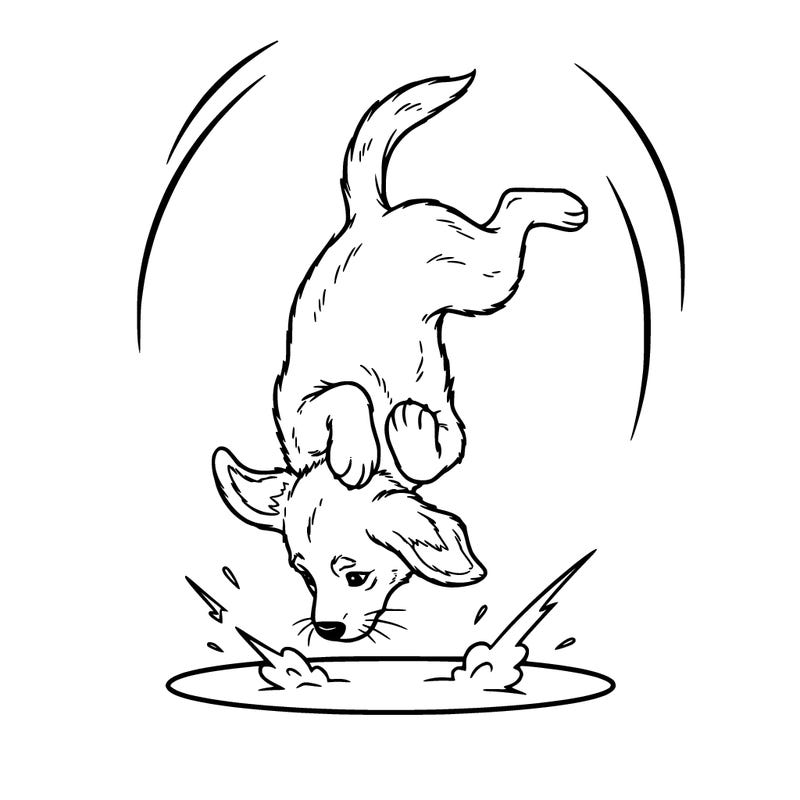 puppy do a backflip