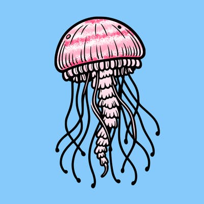 jellyfish