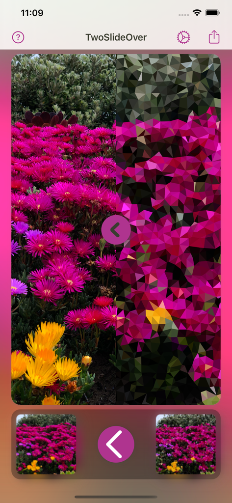 Comparing a floral photo with a crystalline effect filter using the TwoSlideOver slider.