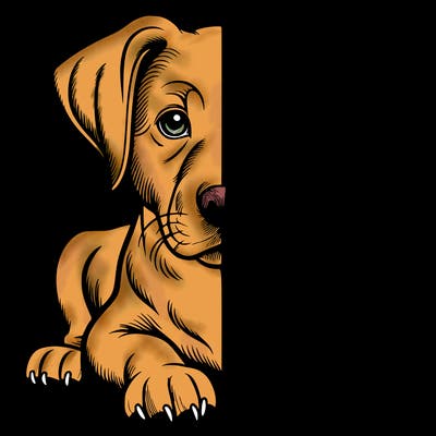 realistic dog split picture