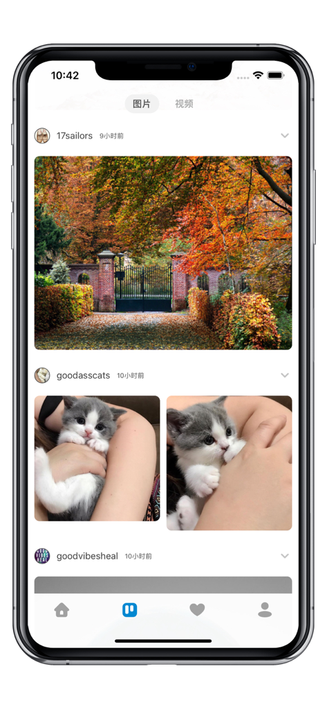 Tumbot - Tumbot mobile app showing a native Tumblr photo feed with images of autumn trees and a kitten