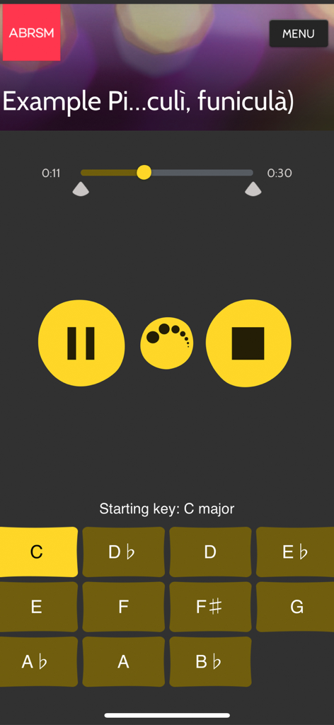 ABRSM SfMT Practice Partner - ABRSM music practice app interface showing song playback controls and a grid for selecting musical keys