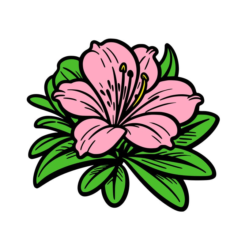 a azalea