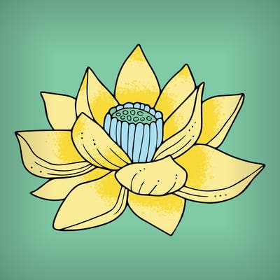 flowers_08