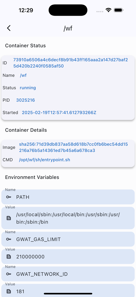 Portainer - Captura de tela do aplicativo Kontainer mostrando o status do contêiner Docker, informações da imagem e variáveis de ambiente