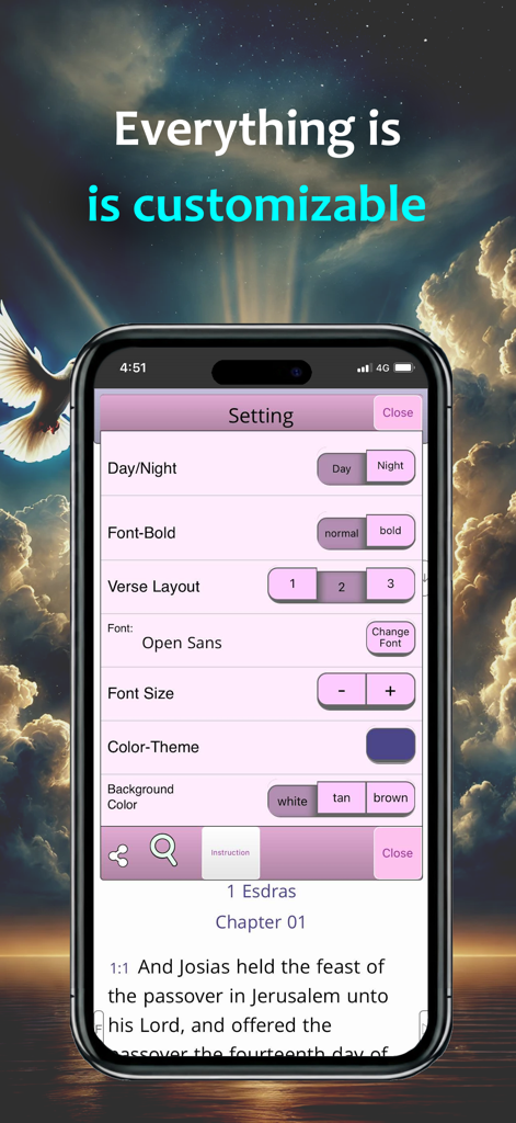 Bible & AI: KJV with Apocrypha - Customization menu showing font and theme settings in the Bible and AI app