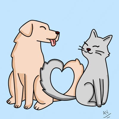 animals_22