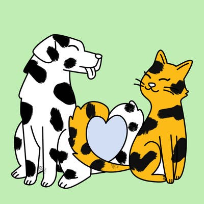 animals_22