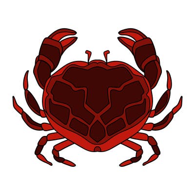 animals_16
