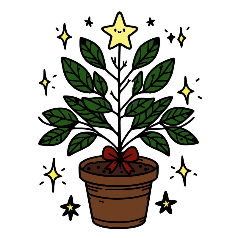 christmas plant