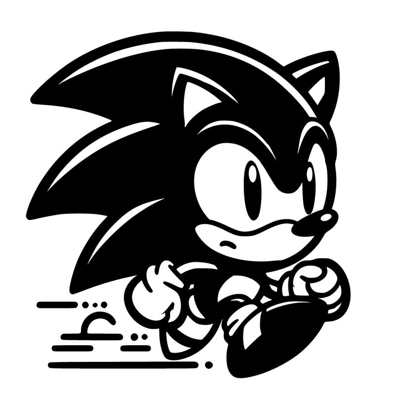 soinc the hedgehog  video game