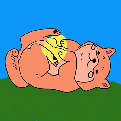 animals_30