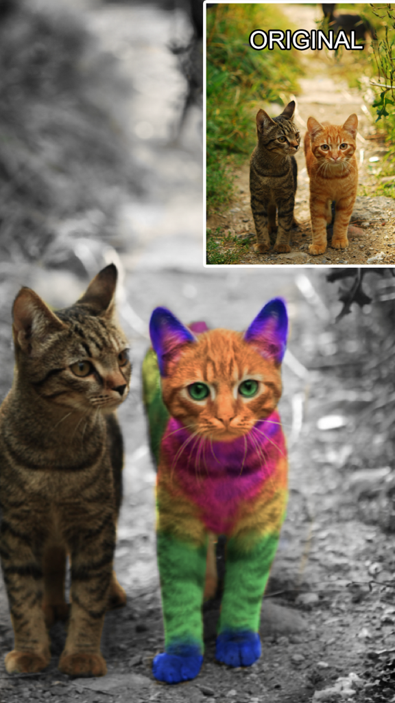 Color Effects - Photo Editor - Photo & Video App | MWM