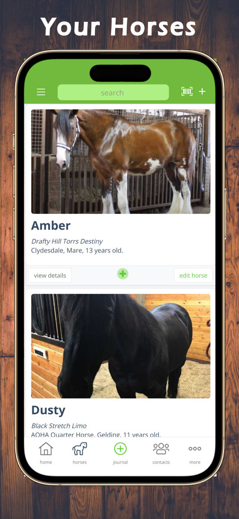 Equestrian App - Equestrian App screen displaying a list of horses with their photos and profile details