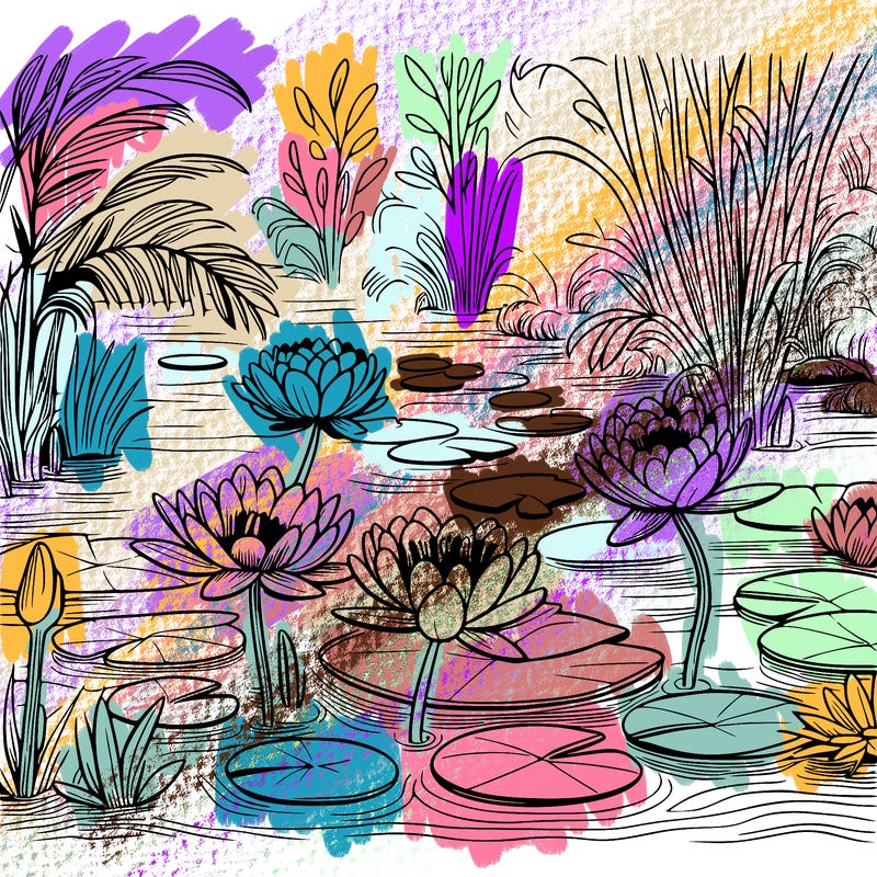 monet's water lilies