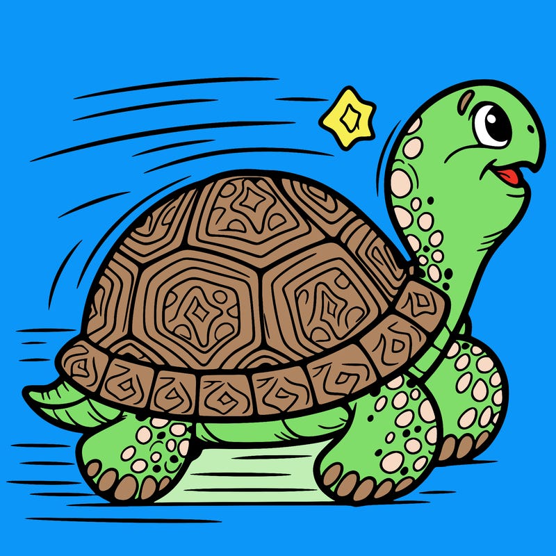 tortoise