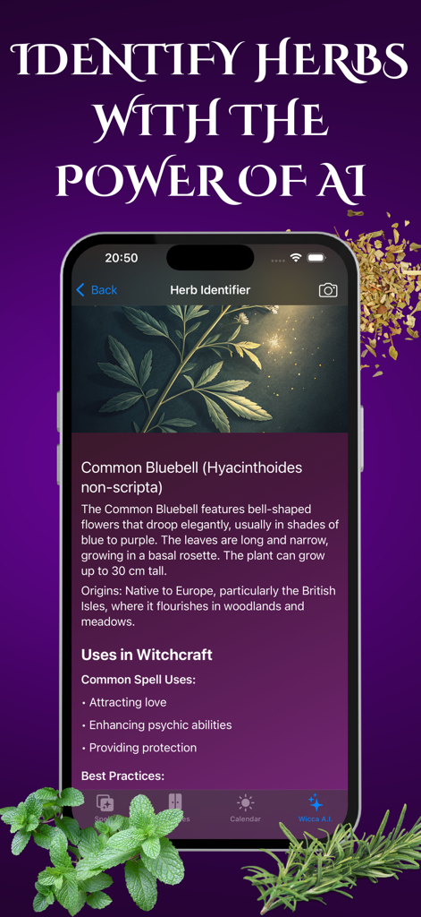 Wicca・Witchcraft Witch Spells - Wicca app interface showing an AI herb identifier for a Common Bluebell with its uses in witchcraft spells