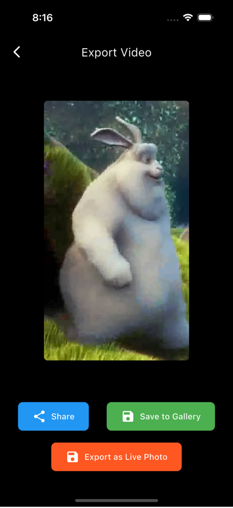 Écran d'exportation vidéo montrant les options pour partager, enregistrer dans la galerie et exporter en tant que photo animée