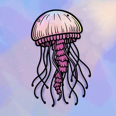 jellyfish