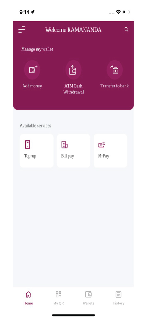 QNB Pay Wallet - The home screen of the QNB Pay Wallet app showing wallet management options like add money and ATM withdrawal along with services like bill pay and M-Pay.