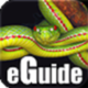 Snakes eGuide