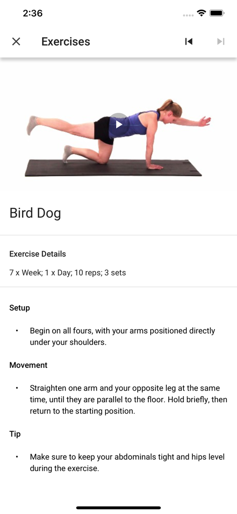 Medbridge GO app screen displaying instructions and a video tutorial for the Bird Dog exercise.