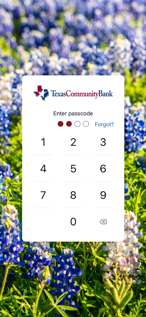 TX Community Bank - TX Community Bank login screen with passcode keypad and bluebonnet flowers