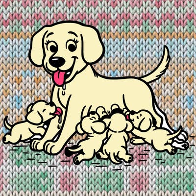 mama dog feeding puppy’s