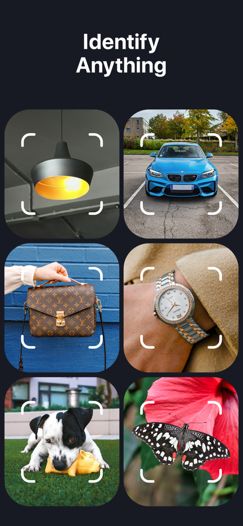 EveryScan・Identifier & AI Lens - La lente AI di EveryScan identifica vari oggetti tra cui un'auto, un orologio, una borsa, un cane e una farfalla.