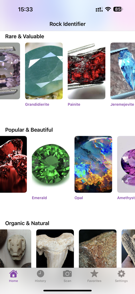 Rock Identifier: Stone Scan ID - Rock Identifier app interface showing categories for rare stones popular gems and organic minerals