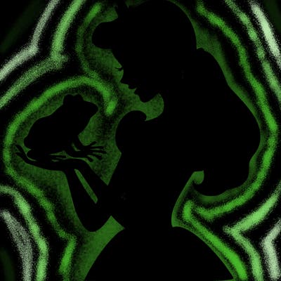 a shadow of a princess holding a frog realistic